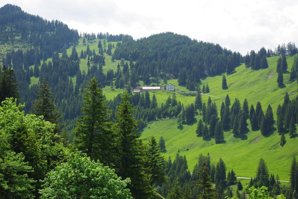 Berggasthaus Sucka Hotel Triesenberg Kültér fotó