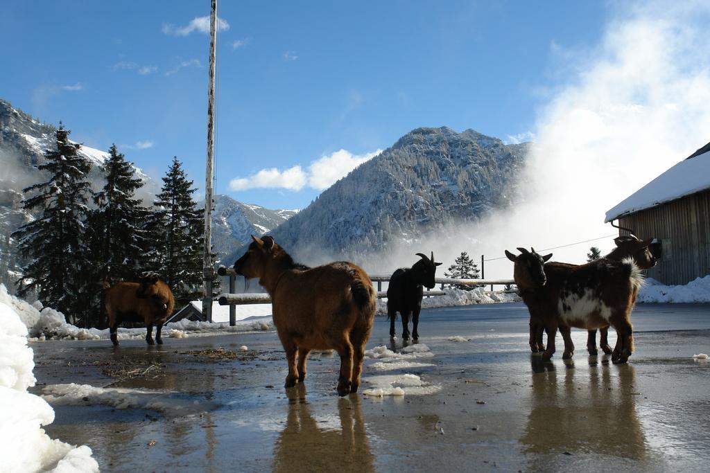 Berggasthaus Sucka Hotel Triesenberg Kültér fotó