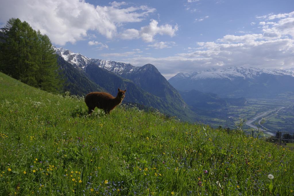 Berggasthaus Sucka Hotel Triesenberg Kültér fotó